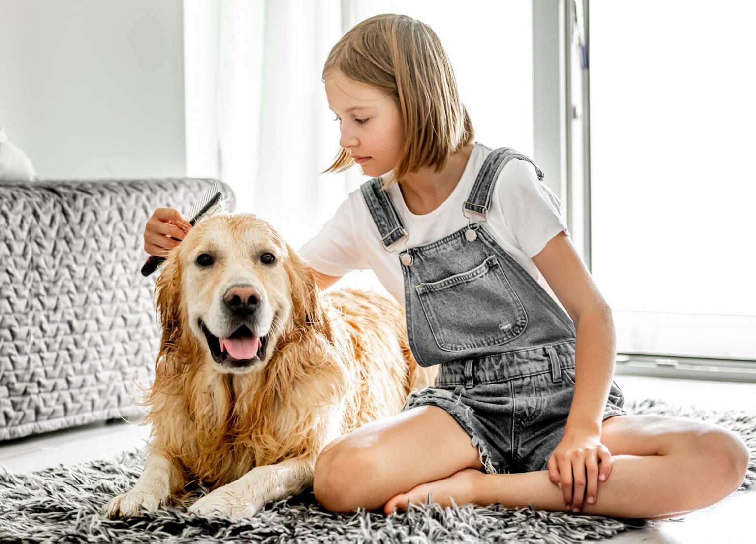 The Ultimate Guide to Grooming Your Golden - Golden Meadows Retrievers