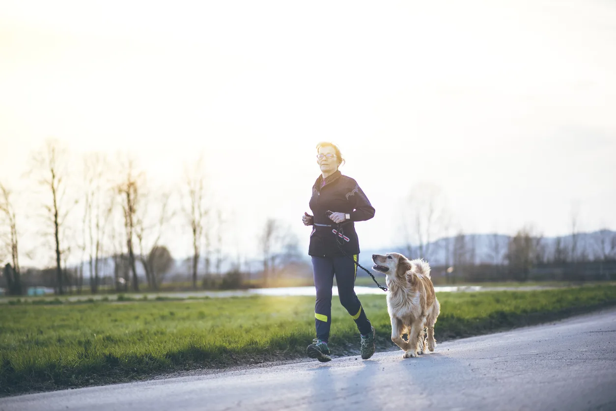 Running fashion companion dogs