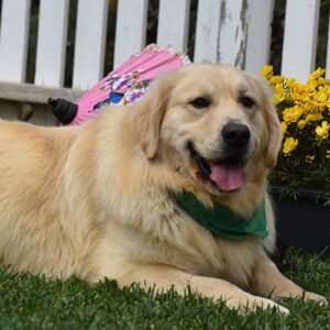 Reserved-Washington*