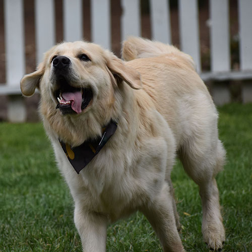 Reserved-Washington* - Image 4