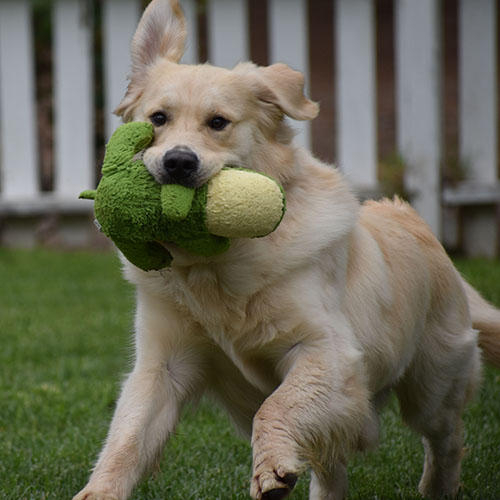 Reserved-Washington* - Image 13
