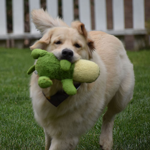 Reserved-Washington* - Image 14