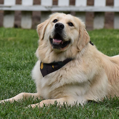 Reserved-Washington* - Image 15