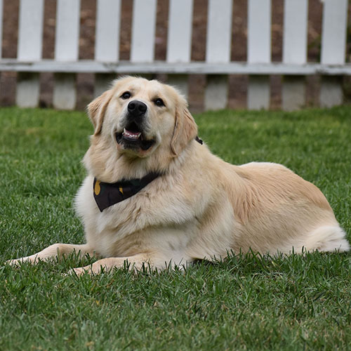 Reserved-Washington*