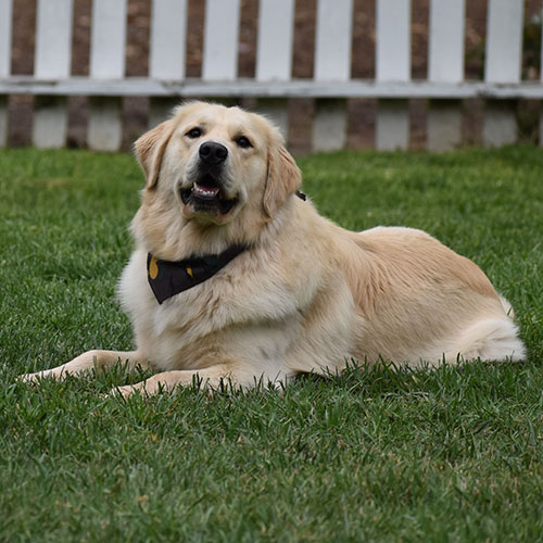 Reserved-Washington* - Image 17