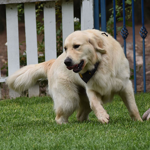 Reserved-Washington* - Image 18