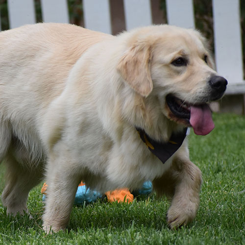 Reserved-Washington* - Image 20