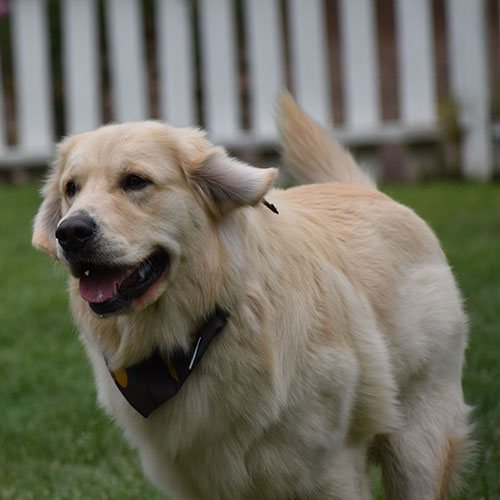 Reserved-Washington* - Image 22