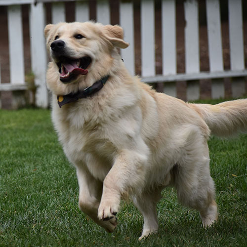 Reserved-Washington* - Image 5