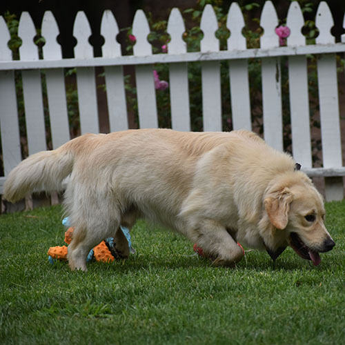 Reserved-Washington* - Image 2