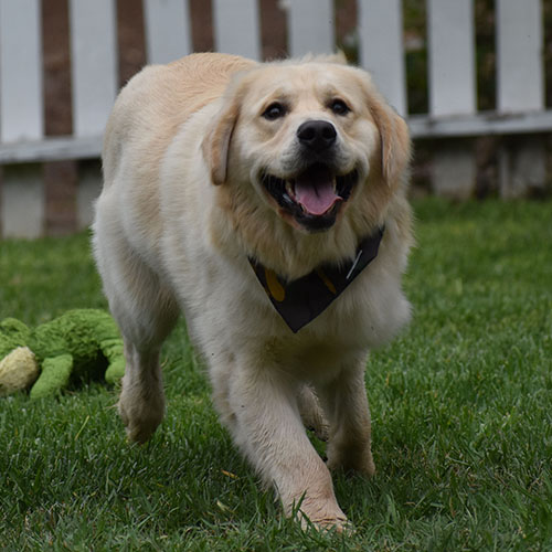 Reserved-Washington* - Image 3