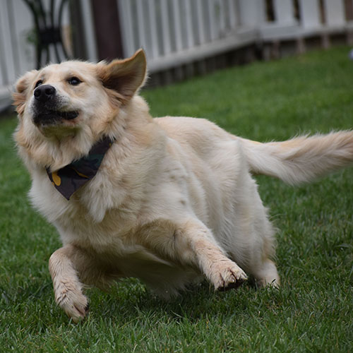 Reserved-Washington* - Image 7