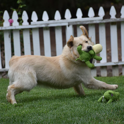 Reserved-Washington* - Image 8