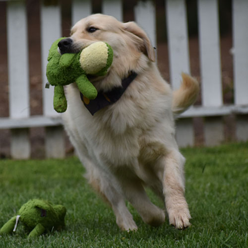 Reserved-Washington* - Image 9