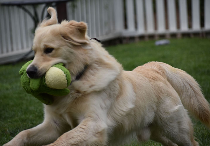 Reserved-Washington* - Image 10