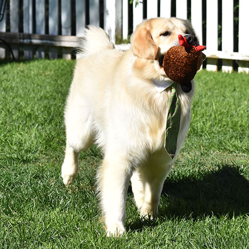 Washington* - Image 10