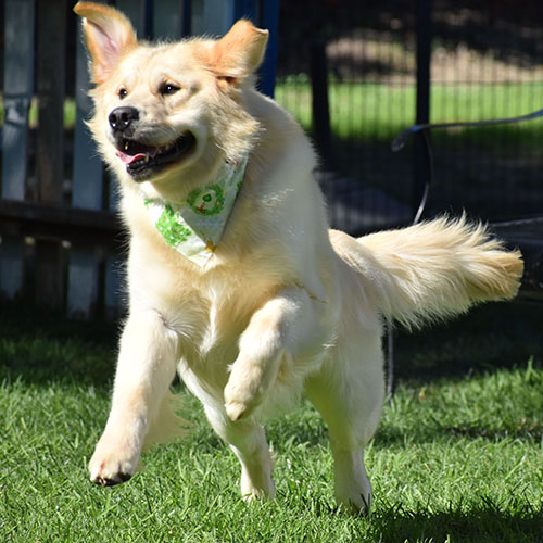 Washington* - Image 13