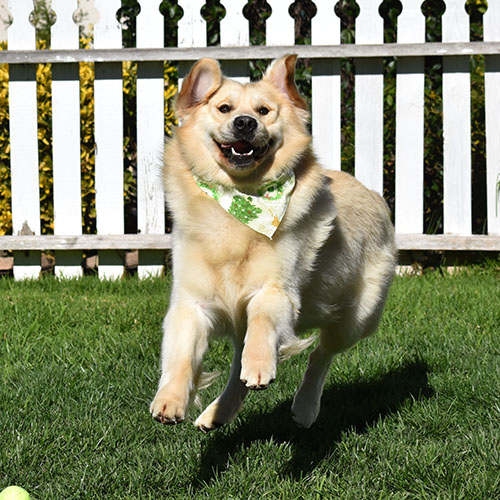 Washington* - Image 14