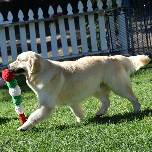 Washington* - Image 15