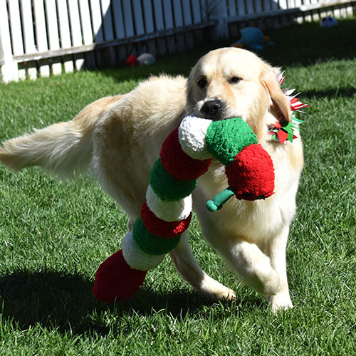Washington* - Image 16