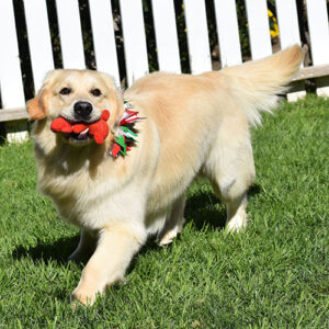 Reserved-Washington*