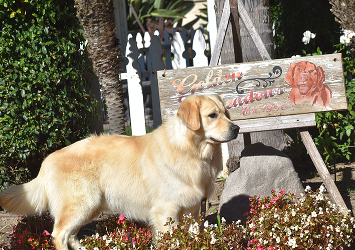 Washington* - Image 29