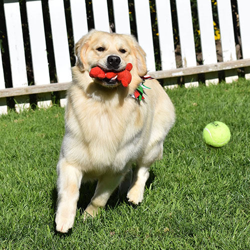 Washington* - Image 19