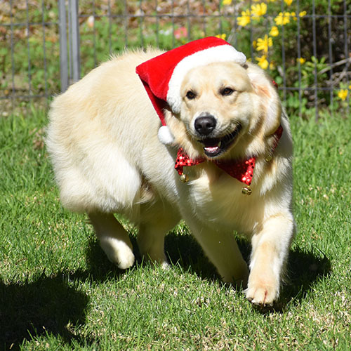 Washington* - Image 21