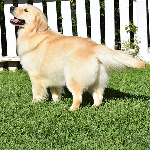 Washington* - Image 22