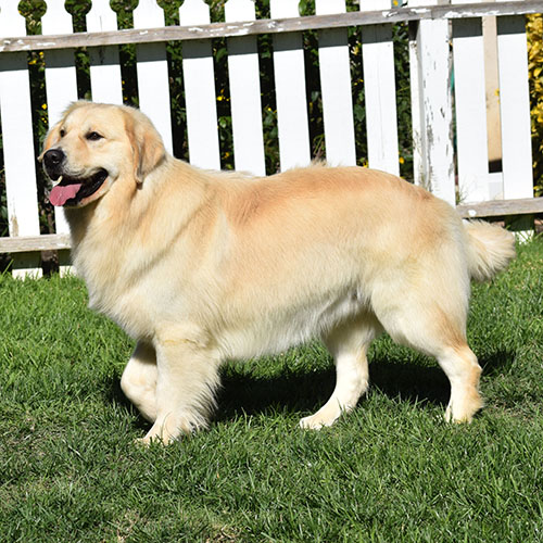 Washington* - Image 23