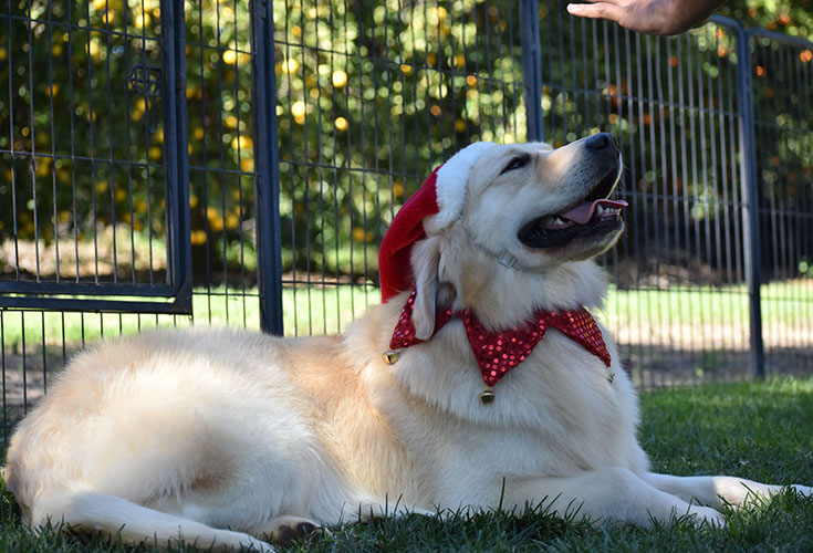 Washington* - Image 24