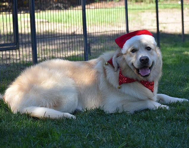 Washington* - Image 25