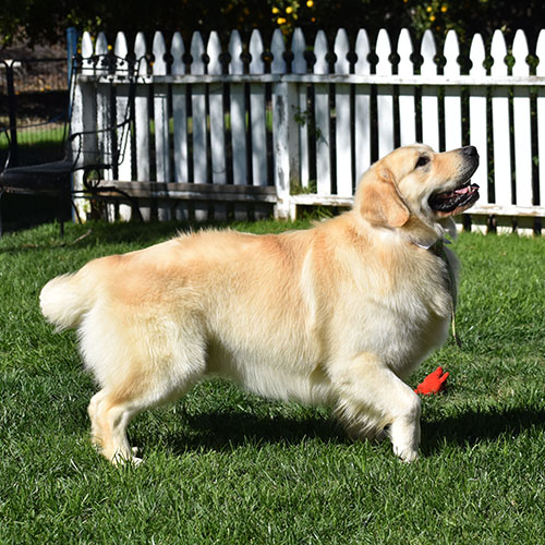 Washington* - Image 26