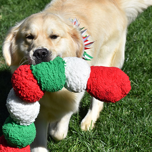 Washington* - Image 27