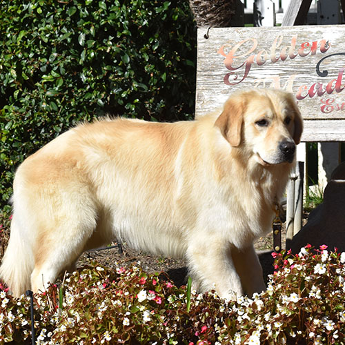 Washington* - Image 2