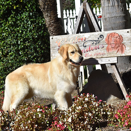 Washington* - Image 3