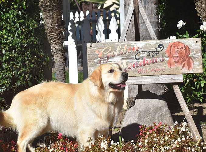 Washington* - Image 4