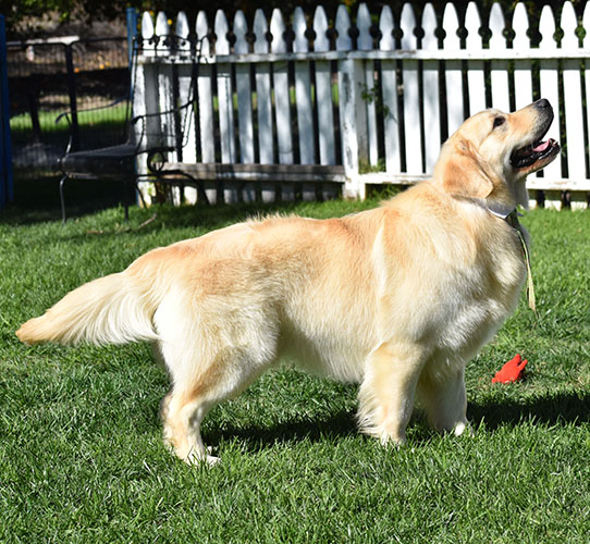 Washington* - Image 5