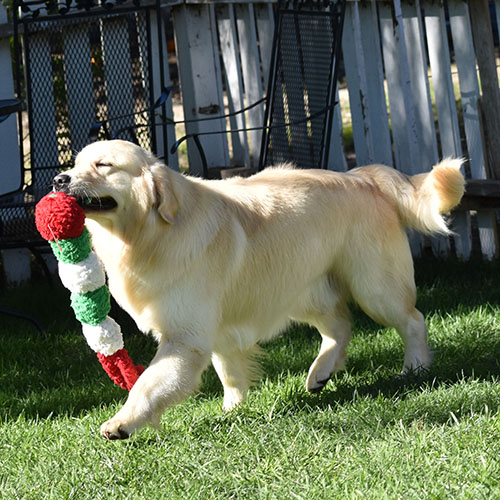 Washington* - Image 6