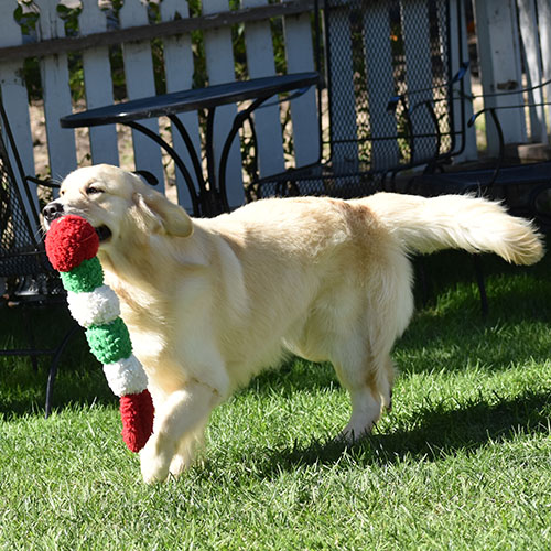 Washington* - Image 7