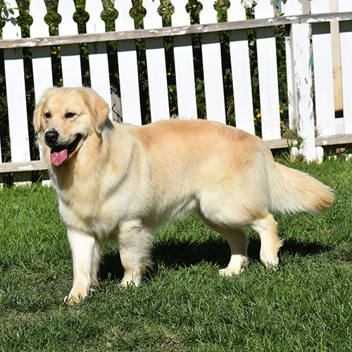 Washington* - Image 8