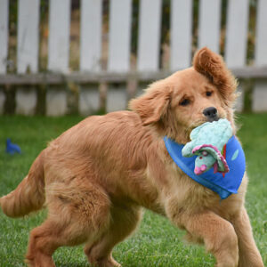 *Reserved-Charlie