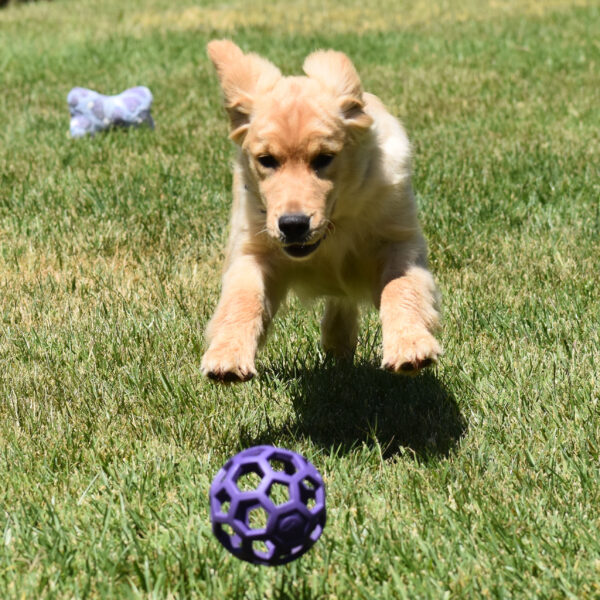 Skylar - Image 6
