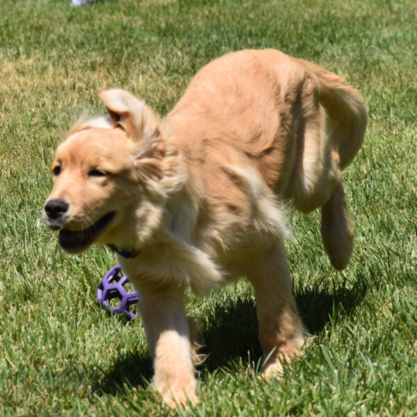 Skylar - Image 7