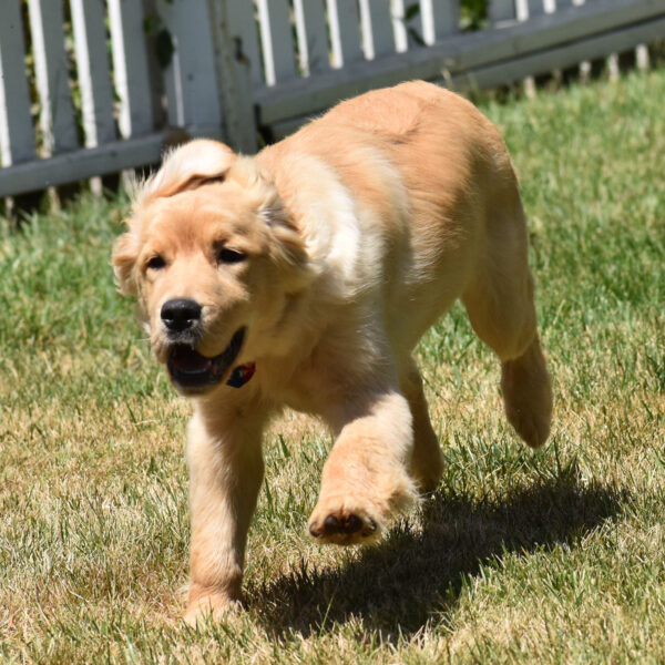 Skylar - Image 8