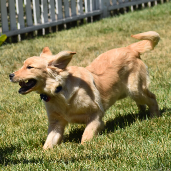Skylar - Image 9