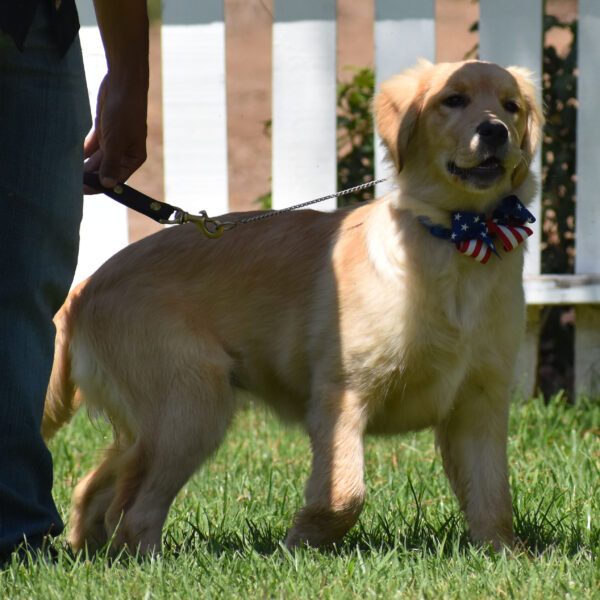 Skylar - Image 20