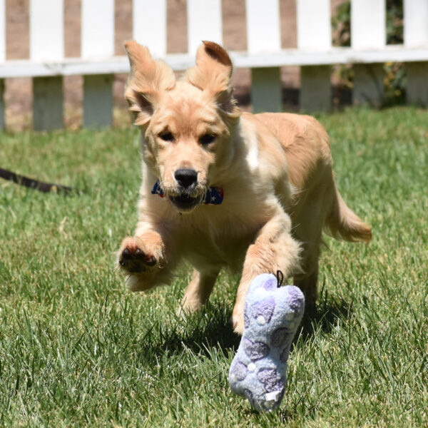 Skylar - Image 23