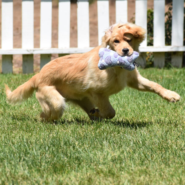 Skylar - Image 24