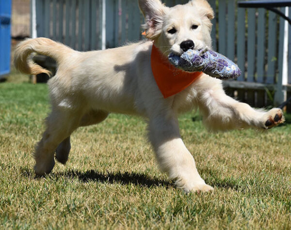 Atticus - Image 11